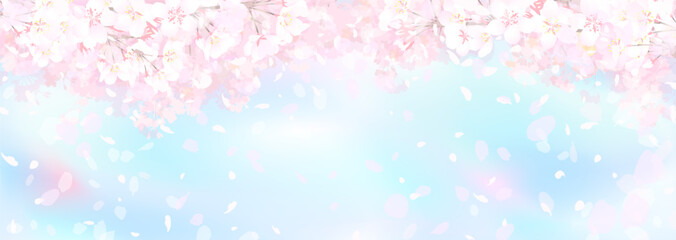 春の青空に満開の桜