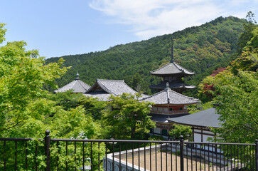壺阪寺　伽藍遠景　奈良県高市郡高取町