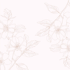 Rose hip wild spring flowers, abstract floral sketch art - 763653314
