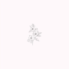Rose hip wild spring flowers, abstract floral sketch art - 763653772