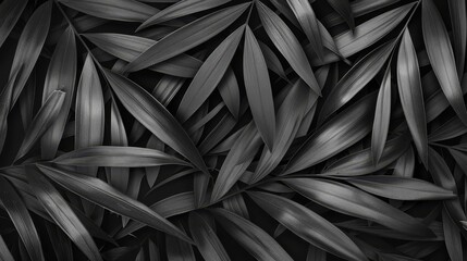 Abstract Black Leaves Texture for Tropical Leaf Background, Flat Lay