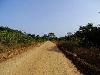 Unpaved road in the savannah in the morning sun