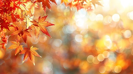Naklejka na ściany i meble Autumnal End-of-Year Web Banner: Vibrant Red and Yellow Maple Leaves with Soft Focus Bokeh Background