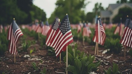 A group of American flags planted in the ground, with each flag representing a fallen soldier, 