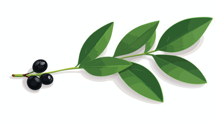 Obraz na płótnie Canvas Single green leaf and acai berry foliage. flat 