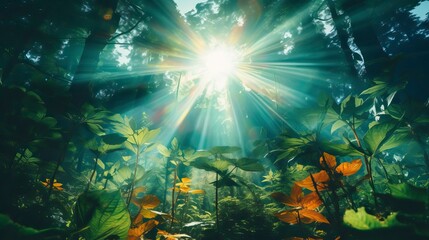 Fototapeta na wymiar A green forest, the sun shines through the leaves, forming a colorful shadow, Forest Illsutration