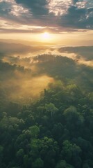 Fototapeta na wymiar Beautiful green amazon forest landscape at sunset sunrise. Adventure explore air drone view