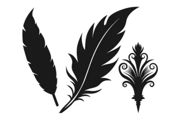 Tableaux sur verre Plumes feather-silhouette bird-feather-icon--feather.eps