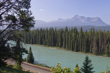 Bow River in the Mountains