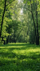 Obraz premium Beautiful green summer forest. Spring background, backdrop. Forest Illsutration 