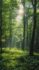 Obraz premium Beautiful green summer forest. Spring background, backdrop. Forest Illsutration 