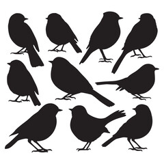 Isolated birds on the white background. Birds silhouettes. Vector EPS 10.	