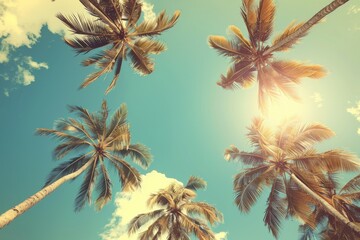 Fototapeta na wymiar Palms against blue sky, upward perspective