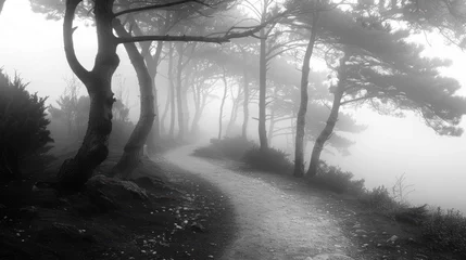 Foto op Aluminium A mysterious pathway winds through a forest shrouded in fog. The trees loom large and ethereal,  © Chhayny