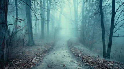 Foto op geborsteld aluminium Bosweg A mysterious pathway winds through a forest shrouded in fog. The trees loom large and ethereal, 