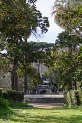 Beautiful green walking alley in the park at the villa with tall trees and a fountain