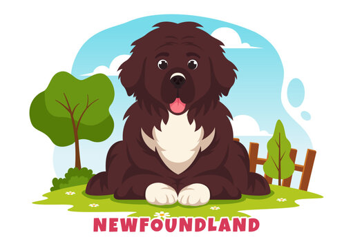 Newfoundland Dog Animals Vector Illustration with Black, Brown or Landseer Color in Flat Style Cute Cartoon Nature Background Design