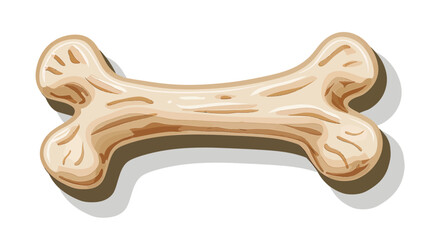 a bone is shown on a white background