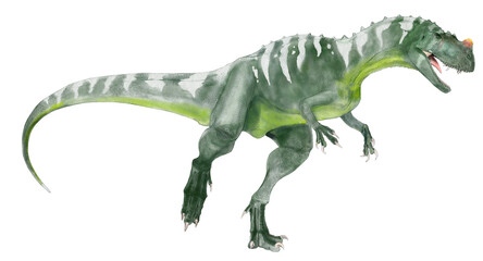 ケラトサウルス。ジュラ紀後期の代表的な肉食恐竜。さほど大きくはないが頭部に3つの骨質の角を持つ。ややスマートな体型の獣脚類　他の獣脚類にない特徴的なフォルムを持ち人気が高い。 - obrazy, fototapety, plakaty