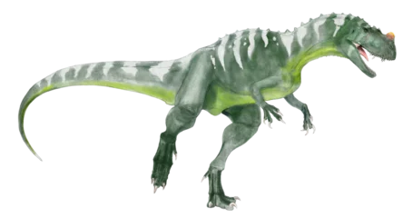 Fotobehang ケラトサウルス。ジュラ紀後期の代表的な肉食恐竜。さほど大きくはないが頭部に3つの骨質の角を持つ。ややスマートな体型の獣脚類　他の獣脚類にない特徴的なフォルムを持ち人気が高い。 © Mineo