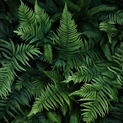 Fototapeta na wymiar leafy green fern background