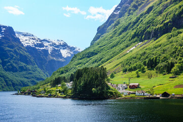 Steep sloped snow capped mountains smothered in green trees on the coast of the fjord