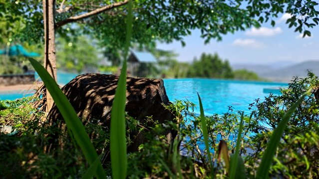 Hill mountain lodge @ Horana Sri Lanka