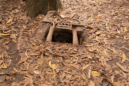 Vietcong hiding place at Cu Chi