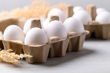 Organic white leghorn egg from free range farm in paper tray
