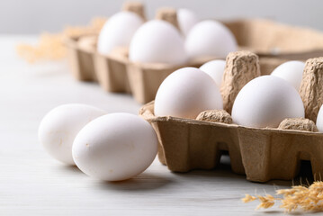 Organic white leghorn egg from free range farm in paper tray - obrazy, fototapety, plakaty