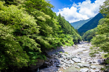 夏の徳島県・大歩危渓谷で見た、祖谷のかずら橋周辺の風景と青空