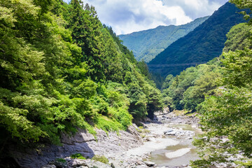 Fototapeta na wymiar 夏の徳島県・大歩危渓谷で見た、祖谷のかずら橋周辺の風景と青空