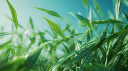 Fresh green grass blades swaying gently under clear blue sky. Soft shadows enhance 3D rendering.