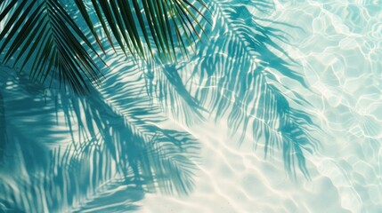 Fototapeta na wymiar Tropical Leaf Shadow. Aerial perspective of palm tree shadows on azure waters and sun-kissed sands. Tranquil scene ideal for summer vacation getaways.