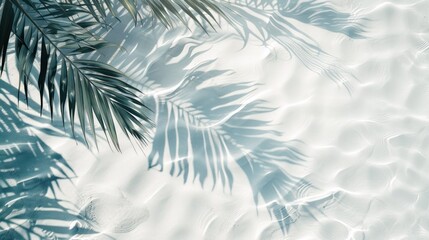 Tropical Water Surface Abstract. Bird's-eye view of palm shadows on rippling water and sandy shores.
