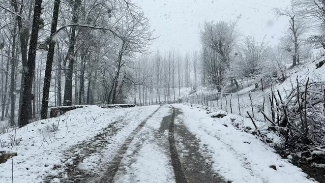 rural road to forest town in winter season in Iran the mountain landscape in heavy snow tree covered by snowfall scenic wonderful landscape of epic nature background white color scene in countryside