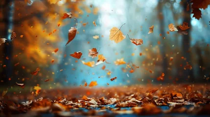Foto auf Acrylglas The image captures a magical autumn scene where various shades of orange and brown leaves are floating in the air and drifting to the ground. The leaves appear suspended in a graceful dance, illuminat © Jesse