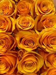bunch of orange roses