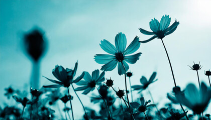 Blurred silhouettes of flowers toned in the turquoise color