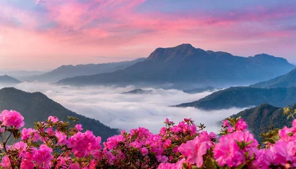 Poster Pink Misty Sky and Mountains with Pink Flowers Background © Verdiana