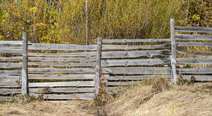 old wooden garden fence in autumn - 763707749
