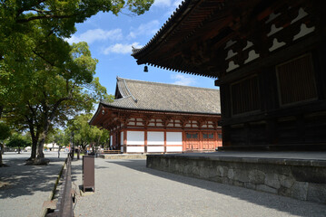 Fototapeta premium 東寺 講堂 京都市南区