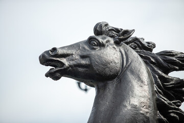 Sculpture of the head of a black horse close-up.