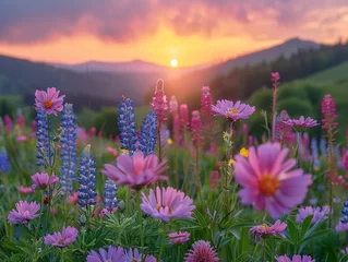 Gardinen Flowers glowing in the soft, warm light of dusk © Brian Carter