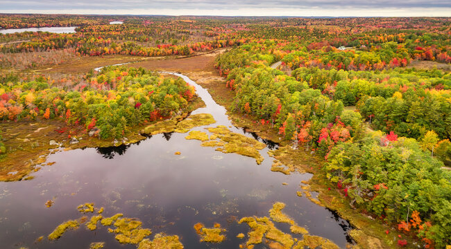 Fototapeta Vibrant trees and landscape by the lake. Nova Scotia, Canada