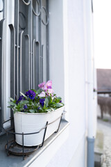 A violet flowerpot with purple flowers is displayed on a wooden window sill, adding a touch of color to the exterior design of the house