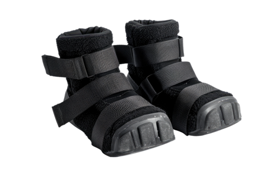 Weighted Anklets isolated on transparent Background