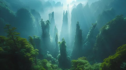 Foto op Plexiglas national forest park, Valley with forests green bonsai trees © Adja Atmaja