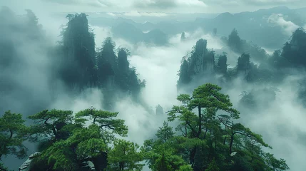 Keuken spatwand met foto national forest park, Valley with forests green bonsai trees © Adja Atmaja