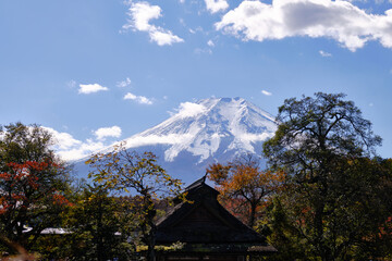 Close-up of Mount Fuji seen from Oshino Hakkai village, Yamanashi, Japan. Silhouette of trees and traditional houses in the foreground and snow capped Mt Fuji in the background.